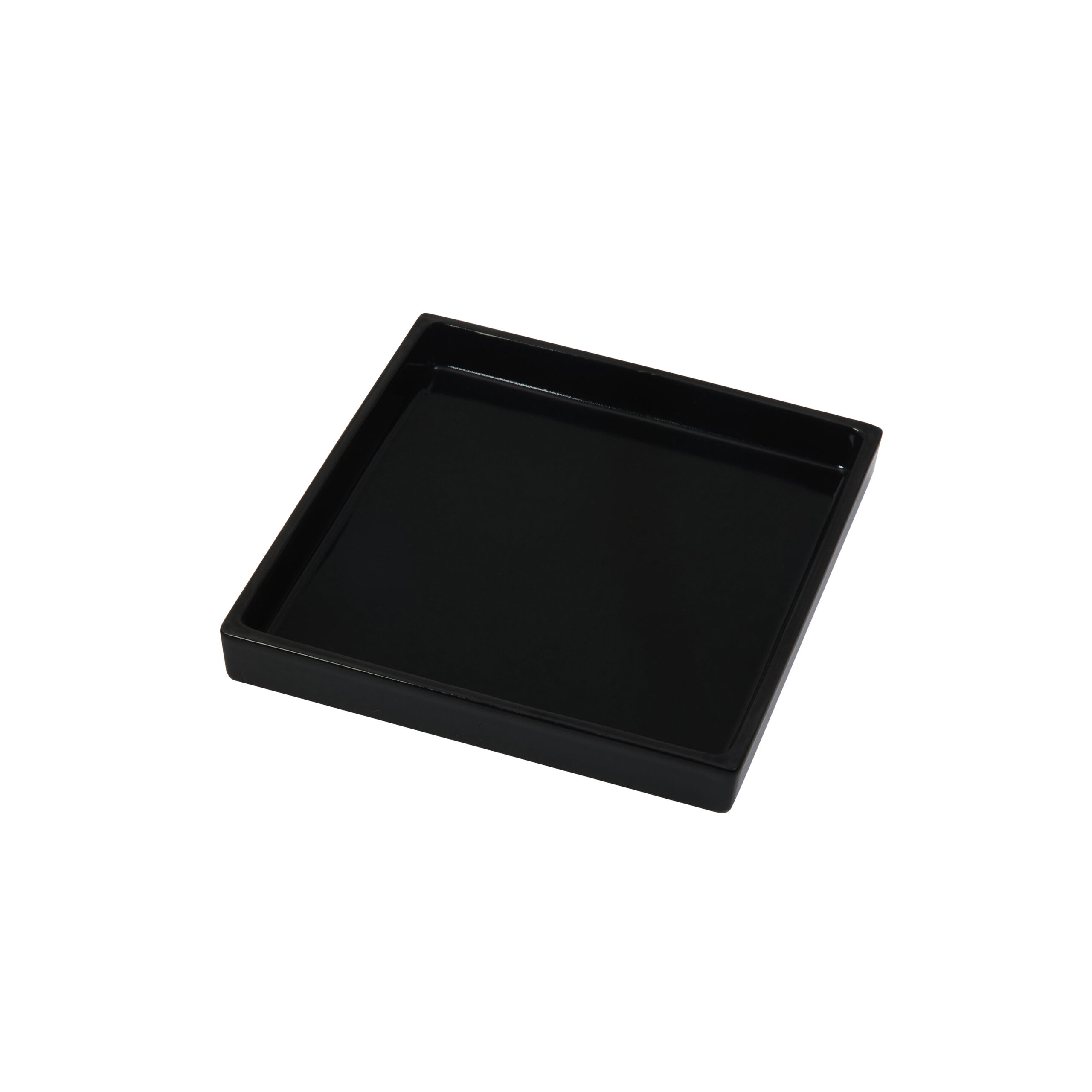 COMPANION TRAY