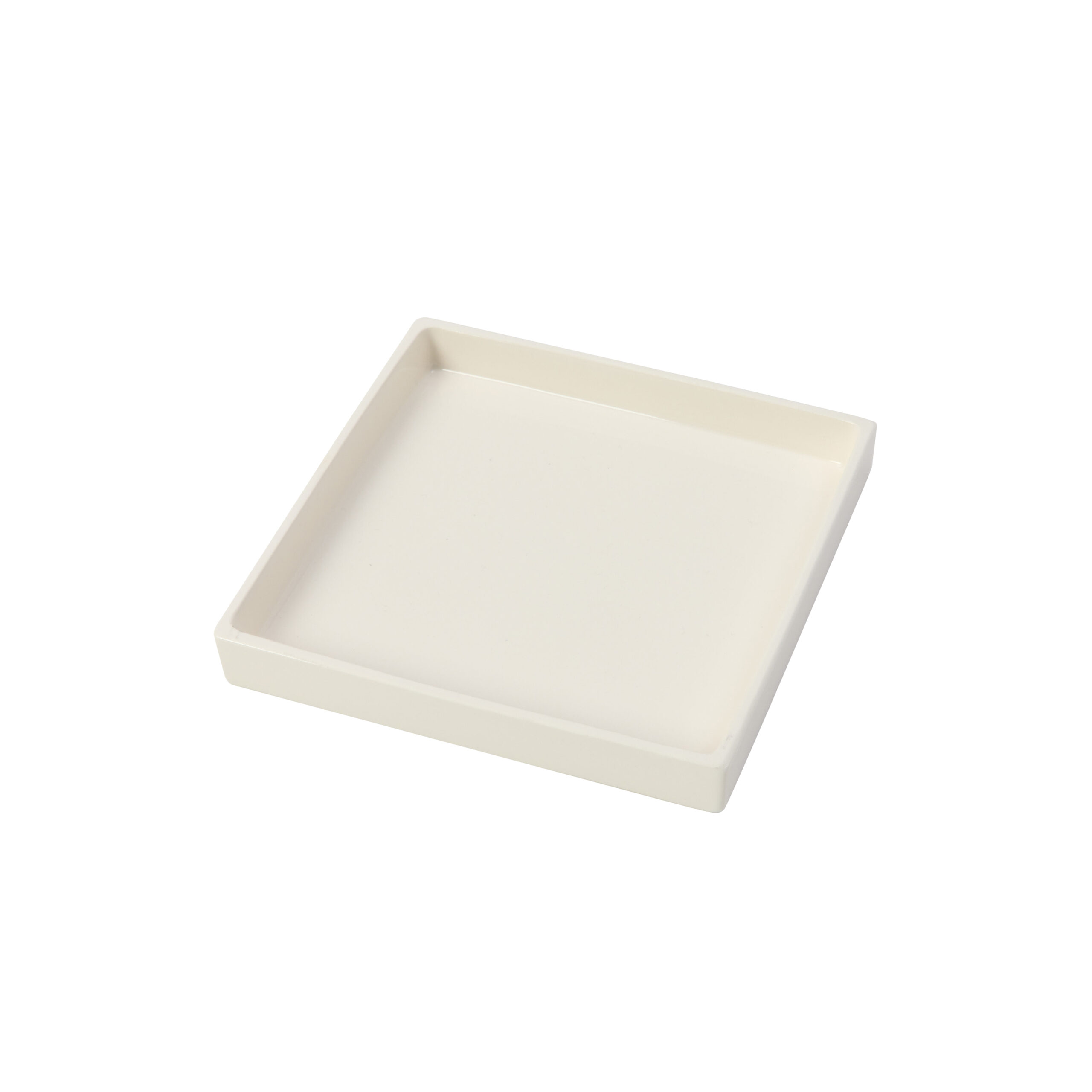 COMPANION TRAY